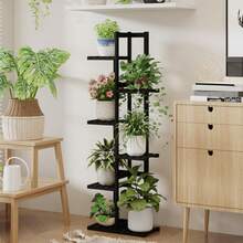 Herramientas para Bonsái