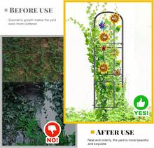 Herramientas para Bonsái