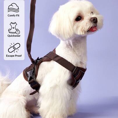PETSIN Phản chiếu Dây nịt cho thú cưng Và Dây xích Bộ Đối với Chó & Mèo , Thoát khỏi Có thể điều chỉnh Chó nhỏ Harness Với Mềm mại Lưới