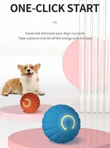 Dog Ball, Automatic Moving Dog Ball, USB Charging Interactive Ball, Durable Automatic Rotating Ball, Suitable For Interactive Toys For Small And Medium-Sized Dogs. The Product Belongs To The Interactive Toy Between The Owner And The Beloved Pet. It Is A Chasing Toy, Not A Gnawing Toy. The Product Also Needs To Be Cared For By The Owner And Pet Together. It Is A Gift For Happy Puppies