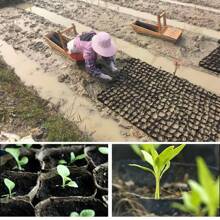 100PCS Plastic Plant Flower Pots Nursery Seedlings Pot Garden Container UK - 黑色 - 查看 9