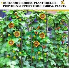 Herramientas para Bonsái