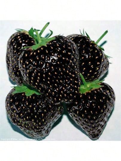 Free Home Delivery Garden 200 Black Strawberry Seeds, High Germination Rate, Easy To Grow, Sweet And Sour, Suitable For Family Gatherings Or Festivals To Make Juice Or Desserts. - 1000 - 查看 1