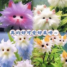 Adad111 2025 Productos de moda populares y talla grande vendidos. Orquídeas de gato llenas de fragancia y fragancia fuerte. La nueva forma de planta en maceta es linda, fragante y elimina el formaldehído - Pluma voladora - Ver 2