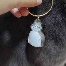 1pc Transparent Pet Hair Storage Box, Cute Animal Hair Capsule Hanging Decor, Dust-Proof Memorabilia Gift Box. (Note: Colors And Styles May Vary Slightly By Batch, But All Are Very Beautiful) - Multicolor - View 4