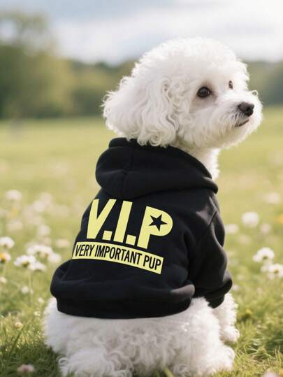 1pc Black Pet Sweatshirt, Warm For Winter, Suitable For Teddy, Poodle, Puppy, Small Dogs, Cats, Autumn/Winter Pet Casual Hoodie, Anti-Shedding