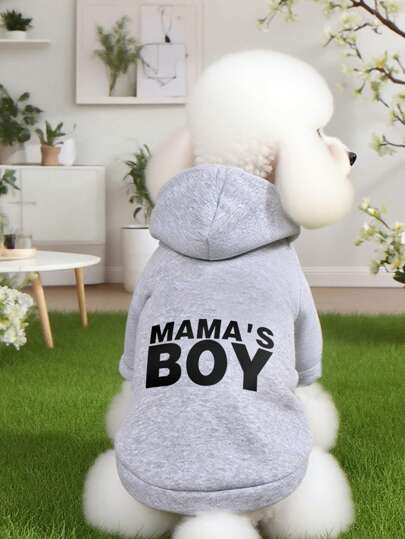 1件灰色宠物卫衣，秋冬季保暖内衬宠物服装，适合贵宾犬、比熊犬、小型犬、英国短毛猫，防掉毛