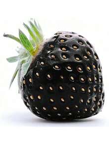 Free Home Delivery Garden 200 Black Strawberry Seeds, High Germination Rate, Easy To Grow, Sweet And Sour, Suitable For Family Gatherings Or Festivals To Make Juice Or Desserts. - 1000 - 查看 8