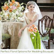 5Pcs Dried Amaranthus Hanging Flowers 100 L 23 Neon Green Preserved Amaranthus Flowers For Wedding Arch Floral Arrangment Wall Hanging-0162 - 淺綠色 - 查看 3