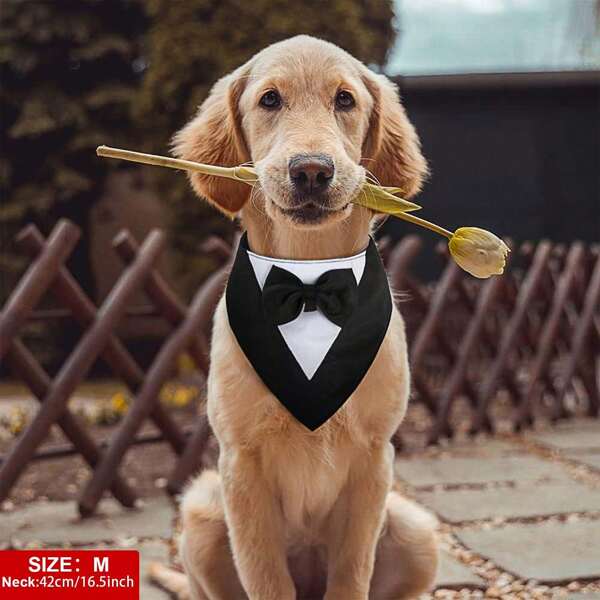 Dog Tuxedo, Formal Dog Wedding Bandana, Dog Collar With Bow Tie, Dog Birthday Costume, Adjustable Pet Party Tux Dog Wedding Attire, Dog Valentines Outfit Cosplay For Small Medium Large Pets