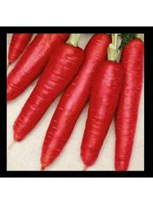 Free Home Delivery 300 Multi-Colored Carrot Seeds - màu đen - Xem 4