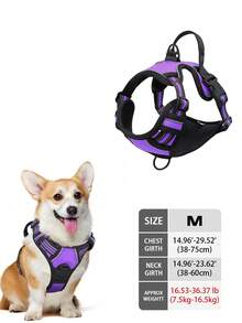High Visibility Dog Harness - Durable, Adjustable, Comfortable, Non-Choking Design - Ideal For Outdoor Adventures, Available In Multiple Sizes - Suitable For Small, Medium And Large Pet Dogs (If Unsure Between 2 Sizes, Opt For The Larger Size As It Can Be Adjusted)