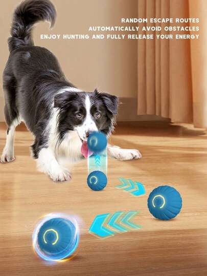 Dog Ball, Automatic Moving Dog Ball, USB Charging Interactive Ball, Durable Automatic Rotating Ball, Suitable For Interactive Toys For Small And Medium-Sized Dogs. The Product Belongs To The Interactive Toy Between The Owner And The Beloved Pet. It Is A Chasing Toy, Not A Gnawing Toy. The Product Also Needs To Be Cared For By The Owner And Pet Together. It Is A Gift For Happy Puppies
