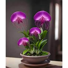 Cold-Resistant  Free Shipping  Heat-Resistant 100 Seeds Top Quality Rare Lily Seeds: Vivid Flowers, Cold-Resistant, Blooming Year-Round, Easy To Plant - 變體 1 - 查看 3