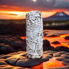 1/3/5 Pcs White Sage Smudge Sticks - Mint Bundle, Suitable For Home Fragrance, Home Decor, Traditional Ceremonies, Halloween, Christmas, Thanksgiving Gifts, Sage Smudge Stick Refill