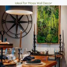 5Pcs Dried Amaranthus Hanging Flowers 100 L 23 Neon Green Preserved Amaranthus Flowers For Wedding Arch Floral Arrangment Wall Hanging-0162 - 淺綠色 - 查看 7