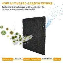 Filtro de carbón activado - Paquete de 6, 105 X 115 mm - Filtro de repuesto altamente absorbente para la caja de arena para gatos totalmente cerrada