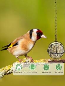 新款实用型脂肪球喂鸟器，金属脂肪球鸟栖架，悬挂式球形喂鸟器，脂肪球鸟栖架挂钩，适用于户外花园野生鸟类、麻雀等。