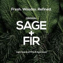 MARLOWE No 002 Body Lotion 16 Oz Pump, Original, Revitalizing Dry Skin Lotion With Aloe Vera &Amp; Amino Acids, Hydrates &Amp; Nourishes, Sage &Amp; Fir Scent - 新鮮的 - 查看 5