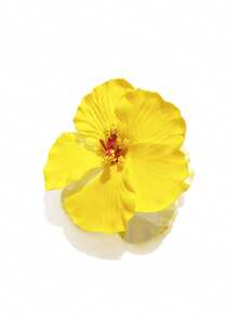 1 件 10 厘米纯色大号仿花发夹，夏威夷花卉设计，甜美优雅，适合校园、派对、婚礼、度假装束发饰女士爪夹秋季配饰 - 黃色 - 查看 7