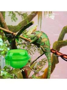 2 Pack Suction Cup Reptile Feeder – Cricket & Water Dish For Chameleons, Geckos, Bearded Dragons – No-Spill Ledge Bowl For Lizards & Amphibians - Green - View 4