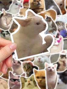 50 件有趣的猫咪表情包创意贴纸日常古怪装饰笔记本电脑行李冰箱记事本剪贴簿桌面房间装饰 DIY 创意贴纸可作为送给好朋友的节日礼物