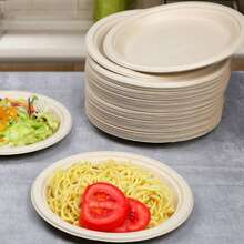 100/50个纸盘，日常使用沙拉盘，蛋糕盘，烧烤盘，微波炉适用，适用于婚礼，家庭聚会，自助餐，夏季泳池派对，生日派对，返校，可堆肥甘蔗纸盘，一次性盘子