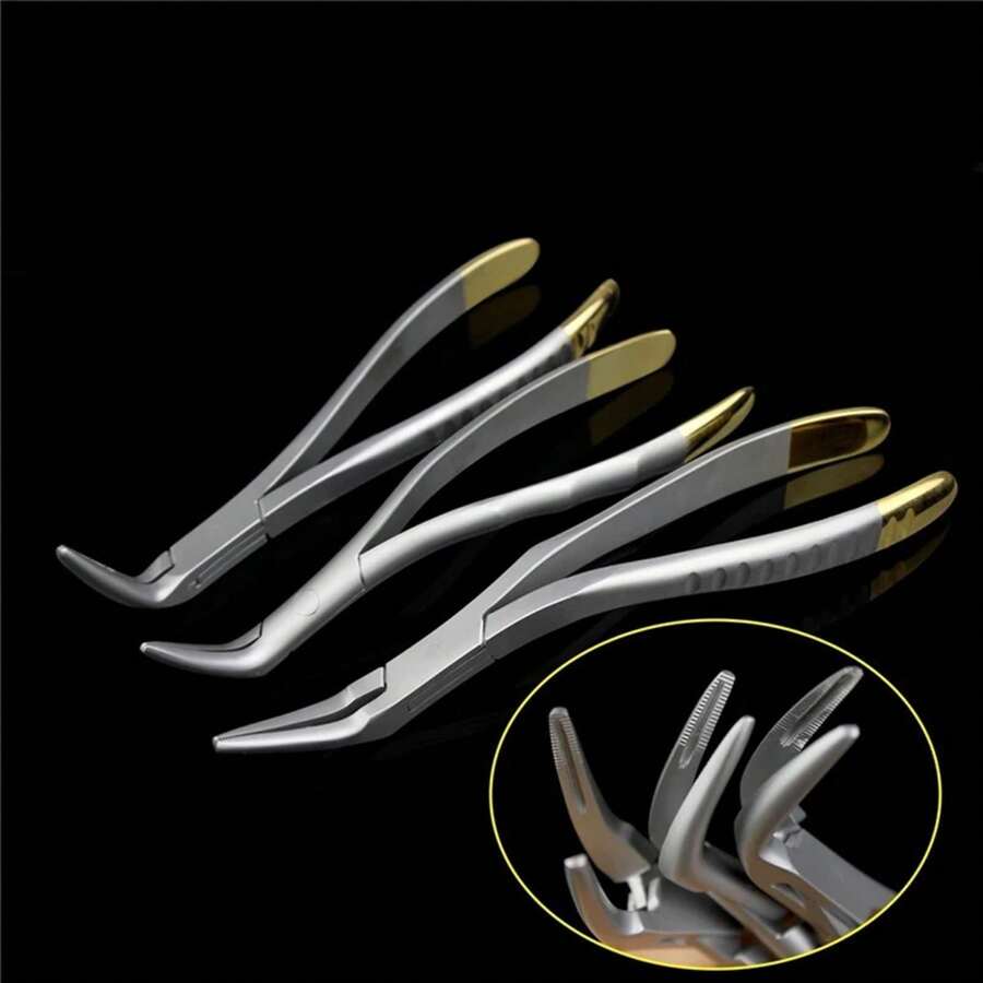 Dentistry Root Fragment Tooth Extraction Forceps Pliers Instrument Dental Curved Maxillary Mandibular Tool