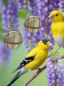 新款实用型脂肪球喂鸟器，金属脂肪球鸟栖架，悬挂式球形喂鸟器，脂肪球鸟栖架挂钩，适用于户外花园野生鸟类、麻雀等。