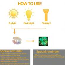 夜光可爱珍珠贝壳和普通贝壳工艺品，鱼缸装饰饰品