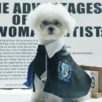 3-pack husdjurskappa, katthundskappa i collegestil, justerbar halsduk, lämplig för teddy, brittiskt korthår, små hundar och katter