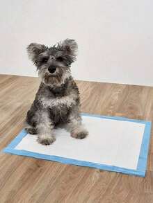 10/50/100 Stücke Super Saugfähige Pads für Haustiere, Geruchskontrolle Welpen Trainings Pads, undurchlässig 5-Lagen Schnell Trocknend für Katzen und Hunde geeignet, Einweg Haustier Pads mit verdichtetem Bambuskohle zur Geruchsbeseitigung und Feuchtigkeitsaufnahme (verschiedene Größen zur Auswahl verfügbar) - Verschiedenfarbig - Übersicht 5