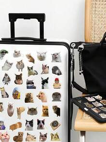 50 件有趣的猫咪表情包创意贴纸日常古怪装饰笔记本电脑行李冰箱记事本剪贴簿桌面房间装饰 DIY 创意贴纸可作为送给好朋友的节日礼物