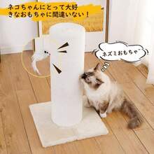 Cat Scratchers - Cotton Type - View 7