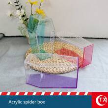 1pc Transparent Acrylic Pet/Plant Habitat Container, Suitable For Succulents, Greenery, Flowers, And Small Reptiles Like Tarantulas, Spiders, Lizards, Insects, Mantis, With Ventilation Holes, Magnetic Lid Design, Comfortable, Breathable, Visible Habitat, Ideal For Beginner Planting And Raising, Christmas, Halloween Decor, Gift