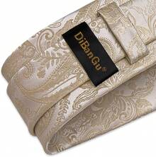 Silk Floral Necktie Set With Tie Clip, Handkerchief & Cufflinks - Champagne Paisley - View 4