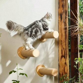 Marco de escalada para gatos de madera maciza montado en la pared, juguete para gatos colgante DIY, cápsula espacial y poste rascador vertical para árbol de gato