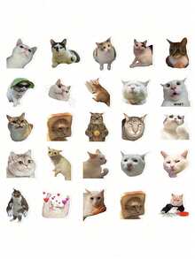 50 件有趣的猫咪表情包创意贴纸日常古怪装饰笔记本电脑行李冰箱记事本剪贴簿桌面房间装饰 DIY 创意贴纸可作为送给好朋友的节日礼物