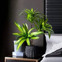 1株简约黄色人造植物，仿真叶子，适用于家居装饰、花园装饰、户外植物、园艺、假花 - 黃色 - 查看 1