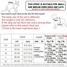 2 Buah Harness Hewan Peliharaan dengan Tali, Terbuat dari Kain Jala yang Bernapas, dengan Garis Reflektif, Cocok untuk Jalan-jalan di Luar Ruangan dan Penggunaan Malam Hari untuk Kucing dan Anjing - Grey - View 2