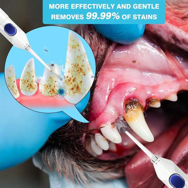 New Upgrade Dog Tooth Brushing Kit, Dog Toothbrush For Teeth Cleaning Tool & Dental Care Accessories, Pet Manual Teeth Cleaner, Tooth Brushing Dogs,Equipped Dog Finger Toothbrush, Fits For Large Pet,10394123