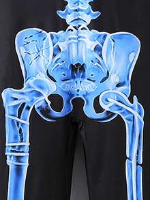 青少年女孩恐怖骷髅连体衣，长袖万圣节服装，角色扮演派对表演 - 彩色 - 查看 5