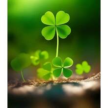 Semillas de plantas en maceta Oferta de descuento semillas Semillas de trébol de cuatro hojas raras Semillas de trébol de tres hojas mezcladas Traen buena suerte Semilla de cobertura de suelo Nuevo césped Crecen fácilmente Genial para jardín flores al aire libre Plantas Horticultura Naturaleza - 200 - Ver 2