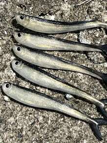 10pcs Soft Silicone Fishing Lures, 8cm T-Tail Swimbait With Sharp Hooks, Suitable For Bass, Freshwater And Saltwater Fishing - Mixed Colors, PVC Material, Great For Offshore Fishing And Jig Bait Techniques, Fishing Lures