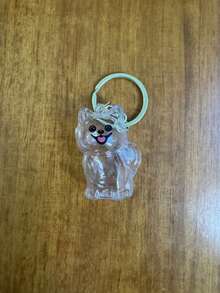 1个透明狗狗收纳胶囊钥匙扣，送给猫狗爱好者的趣味礼物 - 透明椭圆形钥匙扣配件，适合猫咪爱好者和宠物主人，无需电池，可作学校、汽车配件，哥特风、Y2K风格，透明盒子毛绒小狗钥匙扣 - 可挂在包包或钥匙上，可爱的日常配件，通勤必备，也是送给宠物爱好者的礼物 - 彩色 - 查看 7