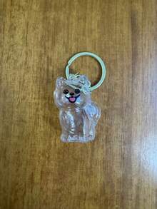 1个透明狗狗收纳胶囊钥匙扣，送给猫狗爱好者的趣味礼物 - 透明椭圆形钥匙扣配件，适合猫咪爱好者和宠物主人，无需电池，可作学校、汽车配件，哥特风、Y2K风格，透明盒子毛绒小狗钥匙扣 - 可挂在包包或钥匙上，可爱的日常配件，通勤必备，也是送给宠物爱好者的礼物 - 彩色 - 查看 18