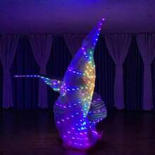 1 件创意彩色 LED 发光蝴蝶舞翅膀（带棍棒）、彩色派对舞蹈舞台表演灯光道具发光斗篷、表演肚皮舞。适用于舞台表演、派对礼品、舞台装饰、节日装饰、房间装饰、家居装饰、主题派对装饰、圣诞节和情人节装饰（不含电池）。 - 彩色 - 查看 6