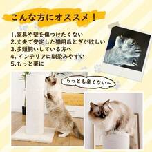 Cat Scratchers - Cotton Type - View 4