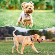 Collar de perro reflectante acolchado con neopreno suave, transpirable, de liberación rápida, collares básicos para cachorros y perros pequeños, color lavanda - Lavanda - Ver 2