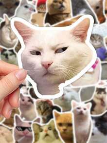 50 件有趣的猫咪表情包创意贴纸日常古怪装饰笔记本电脑行李冰箱记事本剪贴簿桌面房间装饰 DIY 创意贴纸可作为送给好朋友的节日礼物